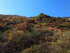 -少华山国家森林公园