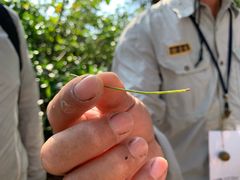 -龙坑生态保护区