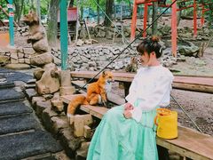 -宫城藏王狐狸村