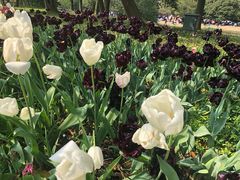 -威尔仕健身(杭州万象城店)