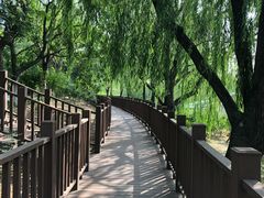 -大兴滨河森林公园