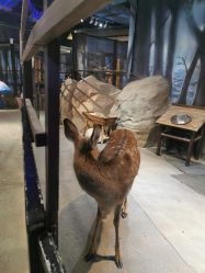 -酷嗒动物文化乐园(cutezoo西溪乐天城店)