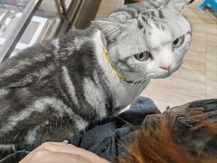 -百金通黄金回收首饰定制维修(珠江路总部)