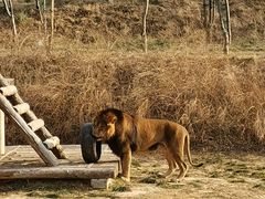 -石家庄市动物园