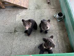 -秦皇岛野生动物园