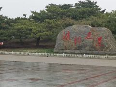 -塘沽森林公园