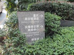 -重庆希尔顿酒店