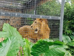 -海南热带野生动植物园