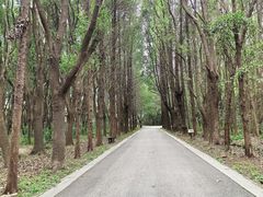 -同里国家湿地公园
