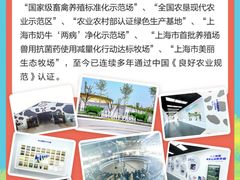 -光明牧业有限公司金山种奶牛场
