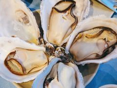 -千岛蚝高压锅生蚝·人参火锅(白云万达店)