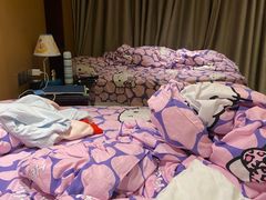 -廊坊固安福朋喜来登酒店