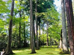 -三千院
