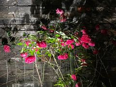 -常州明城墙