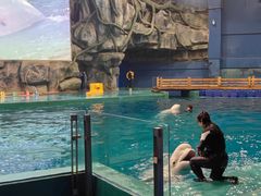 -威海华夏城景区