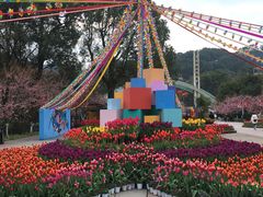 -南山植物园