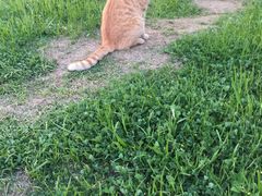 -晓庄学院-食堂