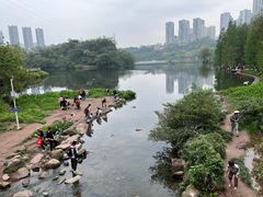 -重庆彩云湖湿地公园