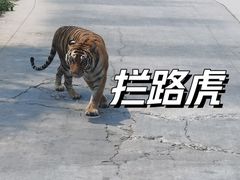 -西安秦岭野生动物园