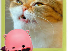 -Cappucimeow猫咪咖啡馆(韦伯时代店)