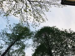 -西安理工大学(金花校区)