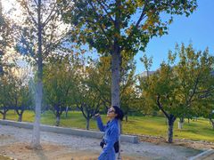 -济南国际园博园