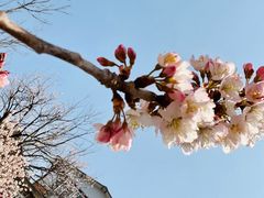 -崂山九水游览区