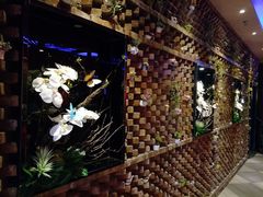 -杯子红牛排(西樵店)