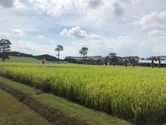 -迪茵湖田家舍生态农场