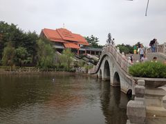 -大屏嶂森林公园