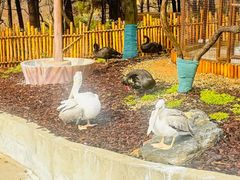 -茅山东方盐湖城景区