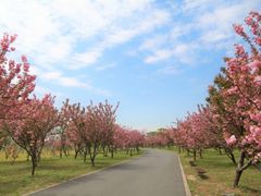 -嘉北郊野公园