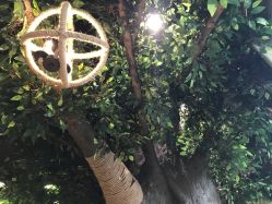 -V-STAR威斯达•高级私人定制