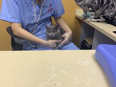 -美联众合动物医院(·中兽医·疑难杂症·严家桥分院)