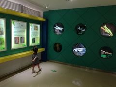 -上海昆虫博物馆