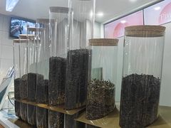 -雾与山茶(大禹城店)