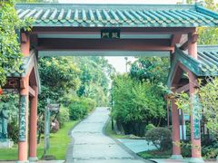 -广州神农草堂中医药博物馆