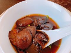 原汁原味松板汤-甄御•海鲜新青岛菜(麦岛店)