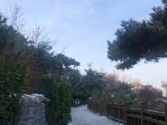 -徂徕山森林康养度假谷温泉