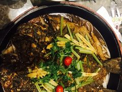 -老板恋上鱼(恒隆广场店)