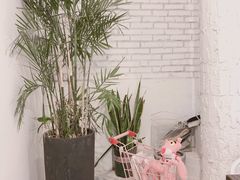 -有猫主题·治愈系猫咖(曾厝垵店)