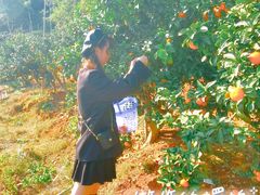 -青龙山国家森林公园
