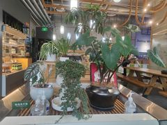 -Green Option(官舍店)