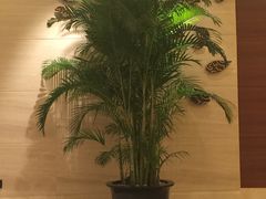 -上海雅居乐万豪侯爵酒店