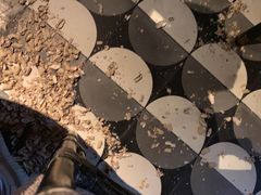 -Long Bar(莱佛士酒店)