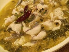 酸菜鱼-新白鹿餐厅(银泰西湖文化广场店)
