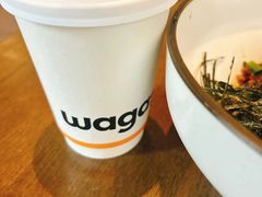 -Wagas沃歌斯(江浦路店)