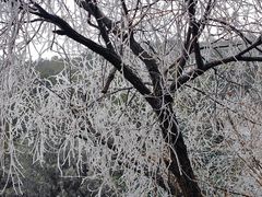 -龙洞风景区-藏龙涧