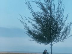 -白沙门生态公园