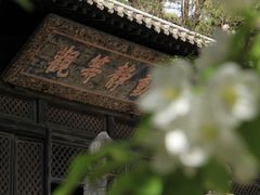 -大觉寺-停车场